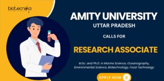 Research Associate Position for an MoES-funded project – Apply Now at Amity Noida Careers!
