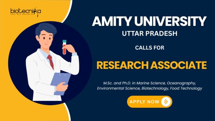 Research Associate Position for an MoES-funded project – Apply Now at Amity Noida Careers!