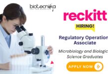 Research and Development Jobs at Reckitt | Regulatory Associate