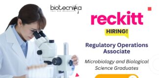 Research and Development Jobs at Reckitt | Regulatory Associate