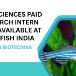 Paid Life Sciences Research Internship