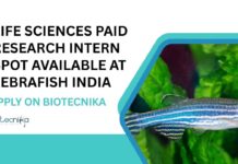 Paid Life Sciences Research Internship