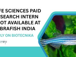 Paid Life Sciences Research Internship
