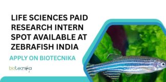 Paid Life Sciences Research Internship