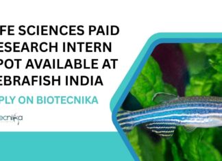 Paid Life Sciences Research Internship