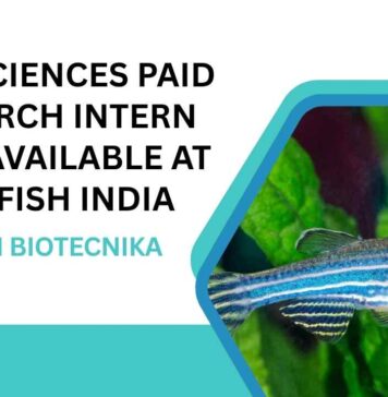 Paid Life Sciences Research Internship