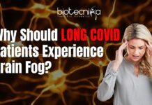 The Biology of Long COVID Brain Fog Why a Hyperactive Brain Receptor Can Be the Cause of Long COVID Brain Fog, Says a Study