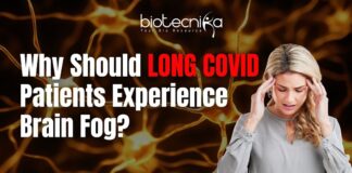 The Biology of Long COVID Brain Fog Why a Hyperactive Brain Receptor Can Be the Cause of Long COVID Brain Fog, Says a Study
