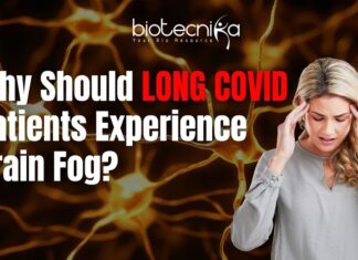 The Biology of Long COVID Brain Fog: Why a Hyperactive Brain Receptor Can Be the Cause of Long COVID Brain Fog, Says a Study The Biology of Long COVID Brain Fog Why a Hyperactive Brain Receptor Can Be the Cause of Long COVID Brain Fog, Says a Study