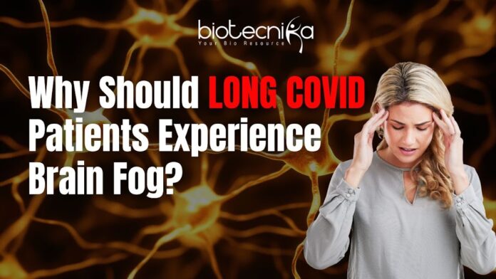 The Biology of Long COVID Brain Fog Why a Hyperactive Brain Receptor Can Be the Cause of Long COVID Brain Fog, Says a Study