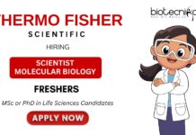 Unlock your Research Career with the Scientist Job in Bangalore Apply for the Life Science Job at Thermo Fisher Careers Now!