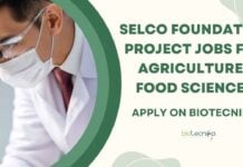 Agriculture & Food Sciences Jobs at Selco Foundation