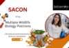 Life Sciences Job at SACON, for Multiple Positions. Research positions available in wildlife biology, bird hazard mitigation, & conservation.