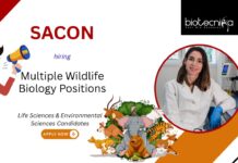 Life Sciences Job at SACON, for Multiple Positions. Research positions available in wildlife biology, bird hazard mitigation, & conservation.