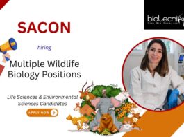 Life Sciences Job at SACON, for Multiple Positions. Research positions available in wildlife biology, bird hazard mitigation, & conservation.