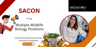 Life Sciences Job at SACON, for Multiple Positions. Research positions available in wildlife biology, bird hazard mitigation, & conservation.