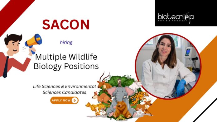 Life Sciences Job at SACON, for Multiple Positions. Research positions available in wildlife biology, bird hazard mitigation, & conservation.