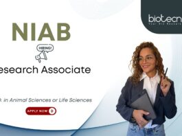 Animal Sciences job at NIAB, for Research Associate Position. Research position in Animal Biotechnology. PhD Candidates, Apply Now