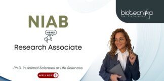 Animal Sciences job at NIAB, for Research Associate Position. Research position in Animal Biotechnology. PhD Candidates, Apply Now