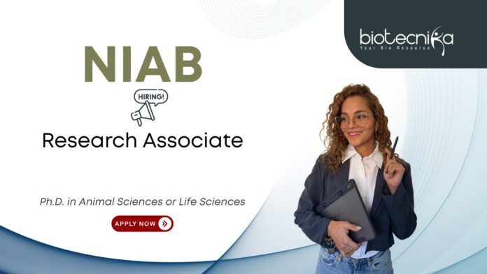 Animal Sciences job at NIAB, for Research Associate Position. Research position in Animal Biotechnology. PhD Candidates, Apply Now