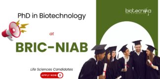 PhD in Biotechnology at BRIC-NIAB. For Life Sciences Candidates. Biotech PhD career with advanced research and NIAB Careers opportunities.
