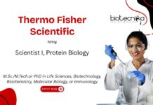 Freshers Protein Biology Scientist Job at Thermo Fisher Scientific. Life Sciences R&D careers. Life Sciences Candidates, Apply Now