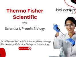 Freshers Protein Biology Scientist Job at Thermo Fisher Scientific. Life Sciences R&D careers. Life Sciences Candidates, Apply Now