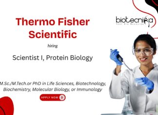 Freshers Protein Biology Scientist Job at Thermo Fisher Scientific. Life Sciences R&D careers. Life Sciences Candidates, Apply Now