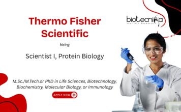 Freshers Protein Biology Scientist Job at Thermo Fisher Scientific. Life Sciences R&D careers. Life Sciences Candidates, Apply Now