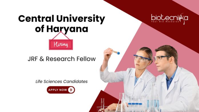 Research Fellow Positions at The Central University of Haryana. JRF & Research Fellow Role. Life Sciences career. Microbiology jobs.