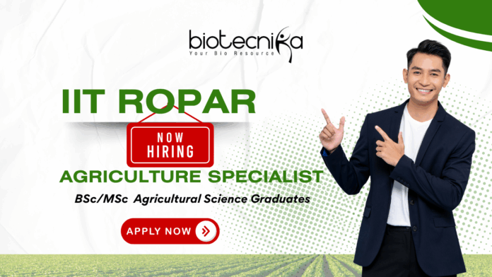Agriculture Specialist ANNAM.AI IIT Ropar Life Science Jobs Agricultural Science Jobs Agriculture Specialist ANNAM.AI IIT Ropar | Life Science Jobs | Agricultural Science Jobs