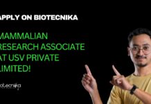 Biotech & Life Sciences Research Jobs
