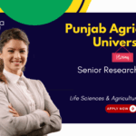 Senior Research Fellow at Punjab Agricultural University, Ludhiana. Agriculture & Biotechnology Candidates, Apply Now.