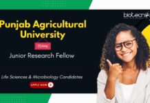 Junior Research Fellow at Punjab Agricultural University. Opportunity for Life Sciences & Microbiology Candidates.