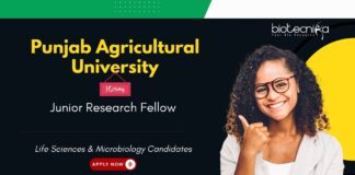 Junior Research Fellow at Punjab Agricultural University. Opportunity for Life Sciences & Microbiology Candidates.