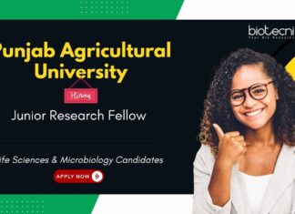 Junior Research Fellow at Punjab Agricultural University. Opportunity for Life Sciences & Microbiology Candidates.