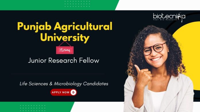 Junior Research Fellow at Punjab Agricultural University. Opportunity for Life Sciences & Microbiology Candidates.
