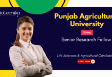 Senior Research Fellow at Punjab Agricultural University, Ludhiana. Agriculture & Biotechnology Candidates, Apply Now.