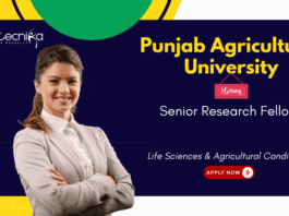 Senior Research Fellow at Punjab Agricultural University, Ludhiana. Agriculture & Biotechnology Candidates, Apply Now.