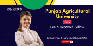 Senior Research Fellow at Punjab Agricultural University, Ludhiana. Agriculture & Biotechnology Candidates, Apply Now.