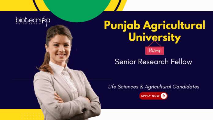 Senior Research Fellow at Punjab Agricultural University, Ludhiana. Agriculture & Biotechnology Candidates, Apply Now.