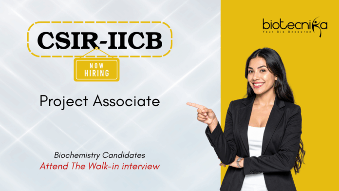 Biochemistry Job at CSIR-IICB. Project Associate Position. Walk-in interview for a DBT-funded cardiac hypertrophy project.