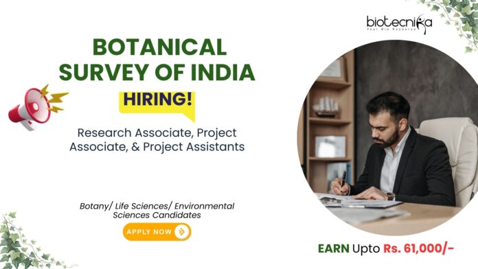 Blue and White Illustrative We Are Hiring Flyer (Presentation) Research Associate Job at Botanical Survey of India. Apply for Research Associate, Project Associate, and Project Assistant posts.