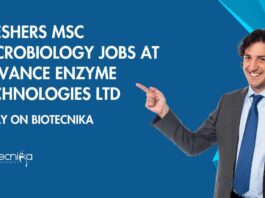 Microbiology QC Executive Jobs