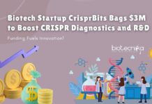 Biotech Startup CrisprBits Bags $3M to Boost CRISPR Diagnostics and R&D | CRISPR-Based Testing Innovations