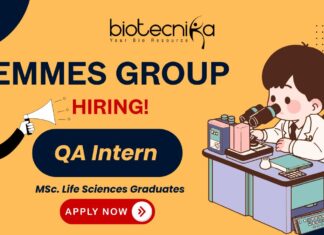 QA Intern at Emmes Group – quality assurance jobs for life science students
