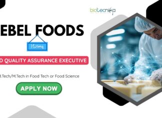 Quality Assurance Jobs In Chennai: Rebel Foods is Hiring an Executive | BTech/ MTech in Food Science/ Technology Apply Now | Food Tech Jobs