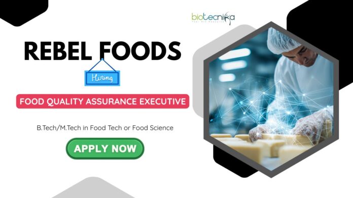 Quality Assurance Jobs In Chennai: Rebel Foods is Hiring an Executive | BTech/ MTech in Food Science/ Technology Apply Now | Food Tech Jobs