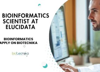 Bioinformatics Job Openings at Elucidata