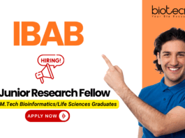 IBAB junior research fellow recruitment for DBT project – research jobs and biotech jobs